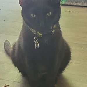 Meet your Posher, Marie